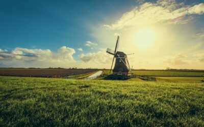 BackTalk: Dutch business culture