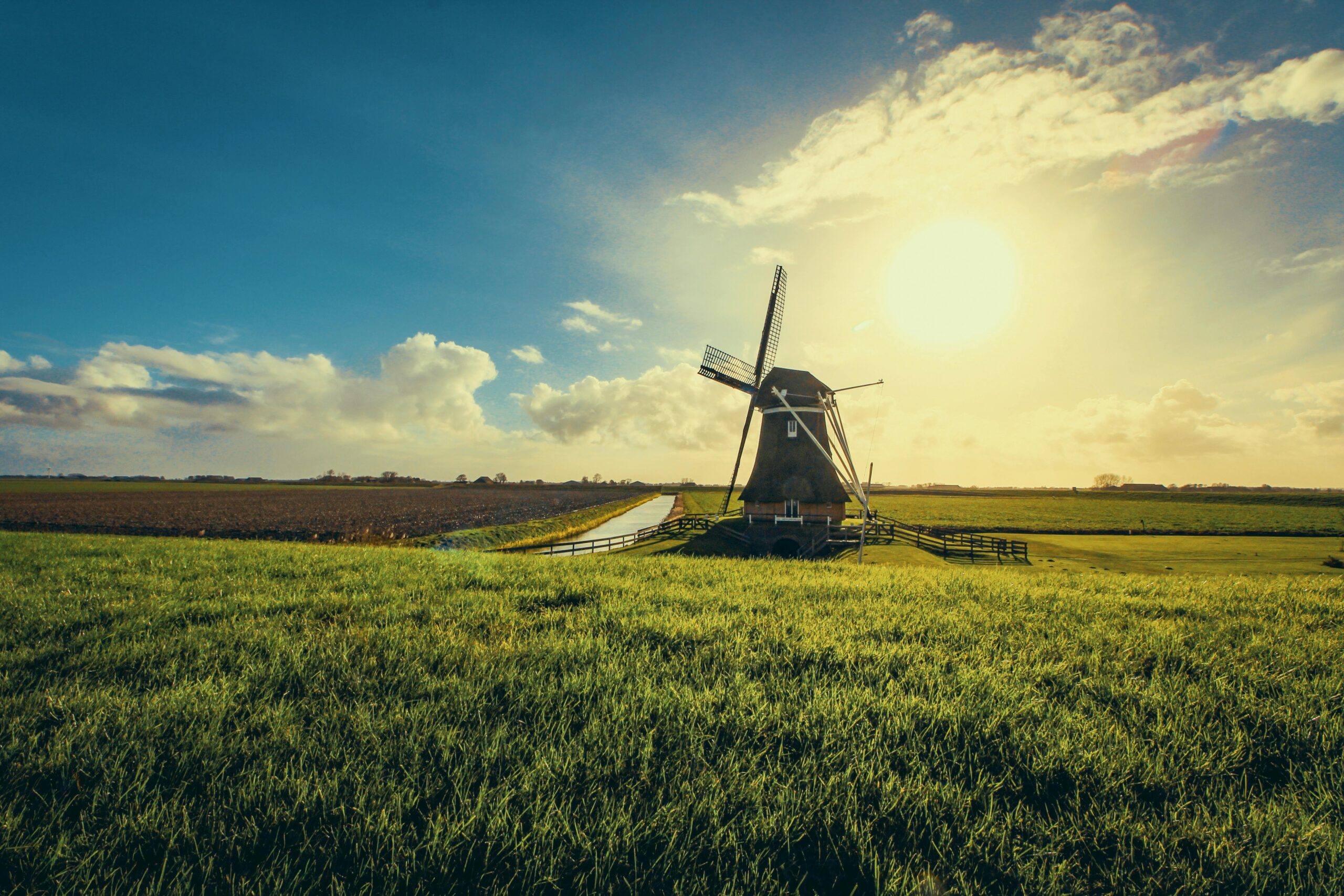 pexels-shottrotter-952632 Dutch business culture